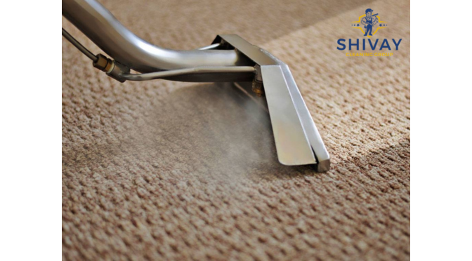 What Are The Steps to Carpet Steam Cleaning?
