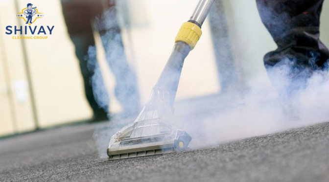 Why Steam Carpet Cleaning Is Important?